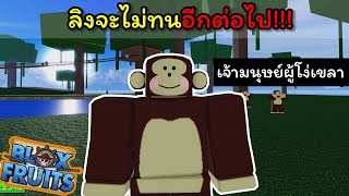 ลิงจะไม่ทนอีกต่อไป..!!!! [Blox Fruits]