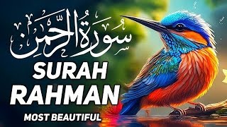 surah al rahman with urdu translation full ep.166