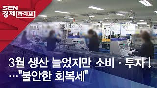 3월 생산 늘었지만 소비·투자↓…\