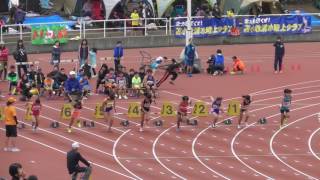 小6女子100m決勝1組_第27回川崎静一郎記念陸上20160922