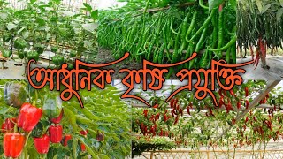 আধুনিক কৃষি প্রযুক্তি | Advance Agricultural technology | Sweet and Green Chilli | Fun World BD