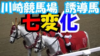 川崎競馬場の誘導馬 七変化!! 現地映像