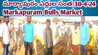 మార్కాపురం ఎద్దుల సంత | Markapuram Bulls Market | Bulls Santha | ఒంగోలు ఎద్దులు ఈ సంతలో దొరుకును...