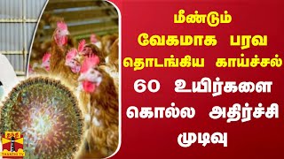 மீண்டும் வேகமாக பரவ தொடங்கிய காய்ச்சல் - 60 உயிர்களை கொல்ல அதிர்ச்சி முடிவு