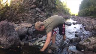 Gullgraving i Sørkedalen