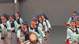 上總組　スーパーよさこい　2017　代々木公園ステージ