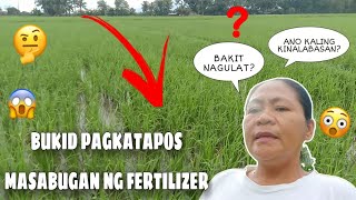 NABIGLA AT NAGULAT SA NANGYARI SA PALAY 😮😱🤔 HALA ANO KALI YON?! #indaygarnet #aileenkalev