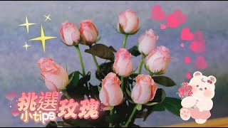 鮮花小百科～玫瑰挑選小tips!｜Tips for Rose selection | 免費花藝課程教學