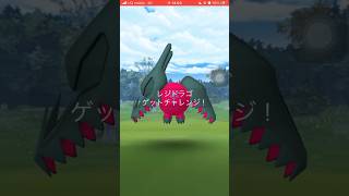 ポケモンGOレイドバトルレジドラゴゲットできたかな？#shorts