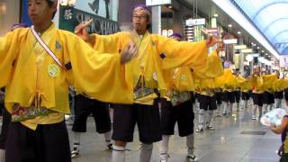 RHKくろしお　　2011　第58回高知よさこい　帯筋　２日目