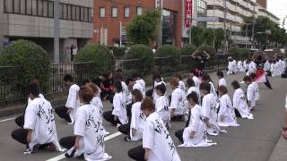 中京大学　晴地舞（犬山踊芸祭2015）パレード会場