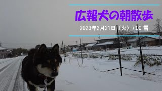 「便利な田舎コンビニエンスザカ」広報犬の朝散歩〈長野県須坂市への移住相談は信州須坂移住支援チームへ〉