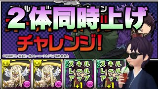 【パズドラ 】パズル無しでオーバーホールチャレンジ２体同時スキル上げ周回【ミラボレアス】元パズバト全国１位ノッチャが老眼に負けず頑張る動画 vol.566