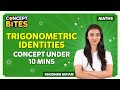 Trigonometric identities | Concept under 10 mins| Grade 10 | Trigonometric boards 2024