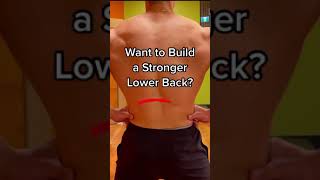Want a Stronger Lower Back? DO THESE!! #shorts