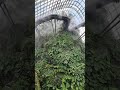 Gardens By The Bay - Cloud Forest