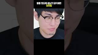 영도에 세뇌가 되어버린...나