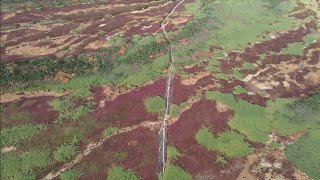 北海道の山　空撮　大雪山姿見〜裾合平チングルマ〜沼ノ平紅葉