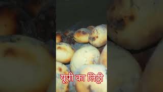 इंटरनेशनल लिट्टी चोखा International litti Chokha