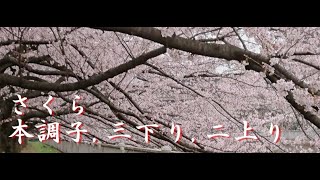 さくら(sakura)#三味線入門#sakura　三味線読本 上達するための道しるべ 動画