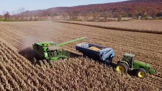 Fall Corn Harvest Central Pennsylvania Farm