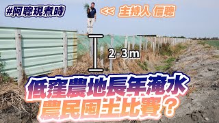 低窪農地長年淹水  農民囤土比賽？｜彰化漢寶村｜#陳信聰｜阿聰現煮時｜EP8精華片段｜▼完整版連結請看資訊欄▼