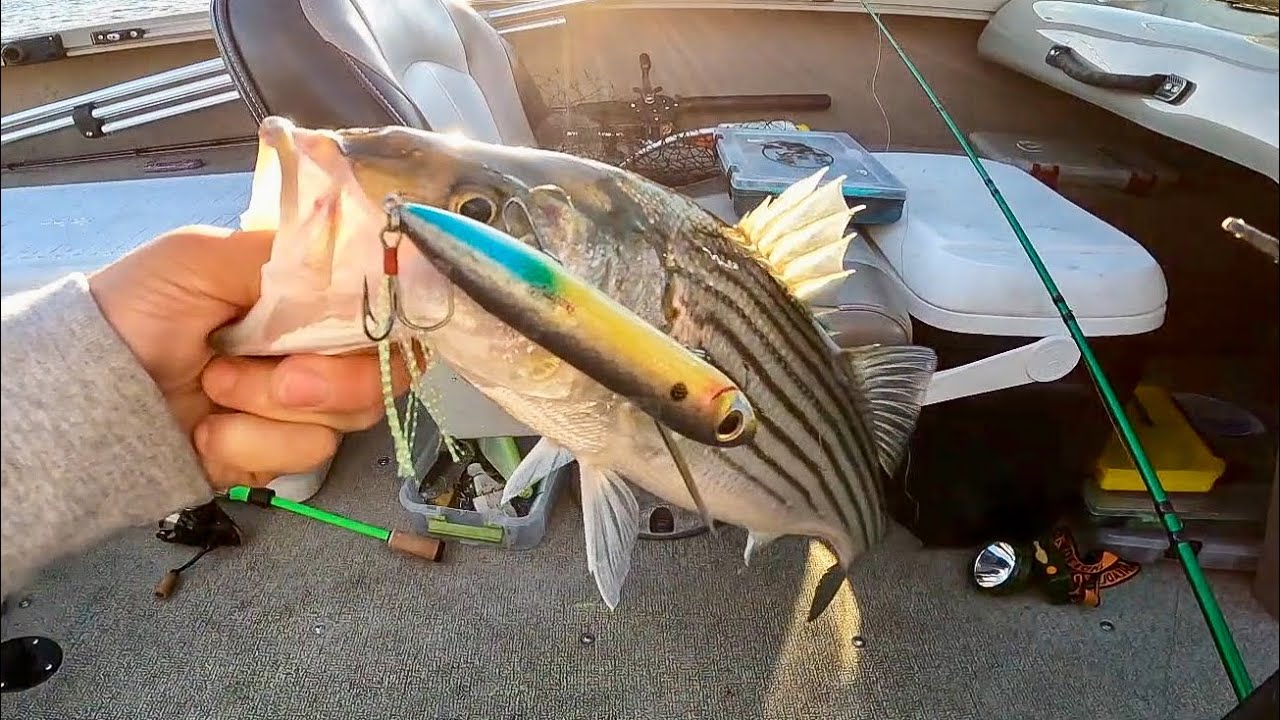 The Best Striped Bass Lure (Top Water) - YouTube