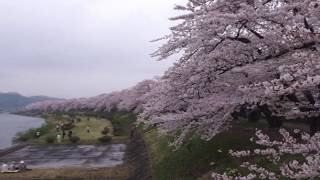 Kojo No Tsuki (Japanese classic folk song)