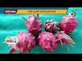 డ్రాగన్ ఫ్రూట్ పండిస్తున్న మెకానికల్ ఇంజనీర్ dragon fruit farming by mechanical engineer