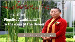 Phoolko Aakhama by Ani Choying Dolma  | lyrics | fulko aakhama  | English Translation