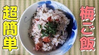 【食欲増進の簡単レシピ】5分でできる『混ぜご飯』梅とシソは最高の組み合わせ！