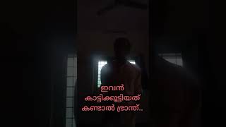 ഇവൻ കാട്ടിക്കൂട്ടിയ ഭ്രാന്ത്.