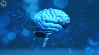 Brain Miracle Healing Entertainment Build Your Logical Thinking Stimulate Your Brain Potentials