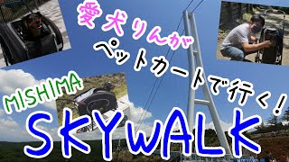 【愛犬りん】ペットカートで行く！＜三島スカイウォーク＞　カート目線で観光、階段は辛いって...