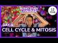 Day 13: Cell Cycle & Mitosis - 30 Day Biology Study Challenge 2024