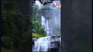 ಧುಮ್ಮಿಕ್ಕುವ Hebbe Falls ನೋಡೋದೆ ಒಂದು ಸುಂದರ ಅನುಭವ | #shorts #waterfalls #nature