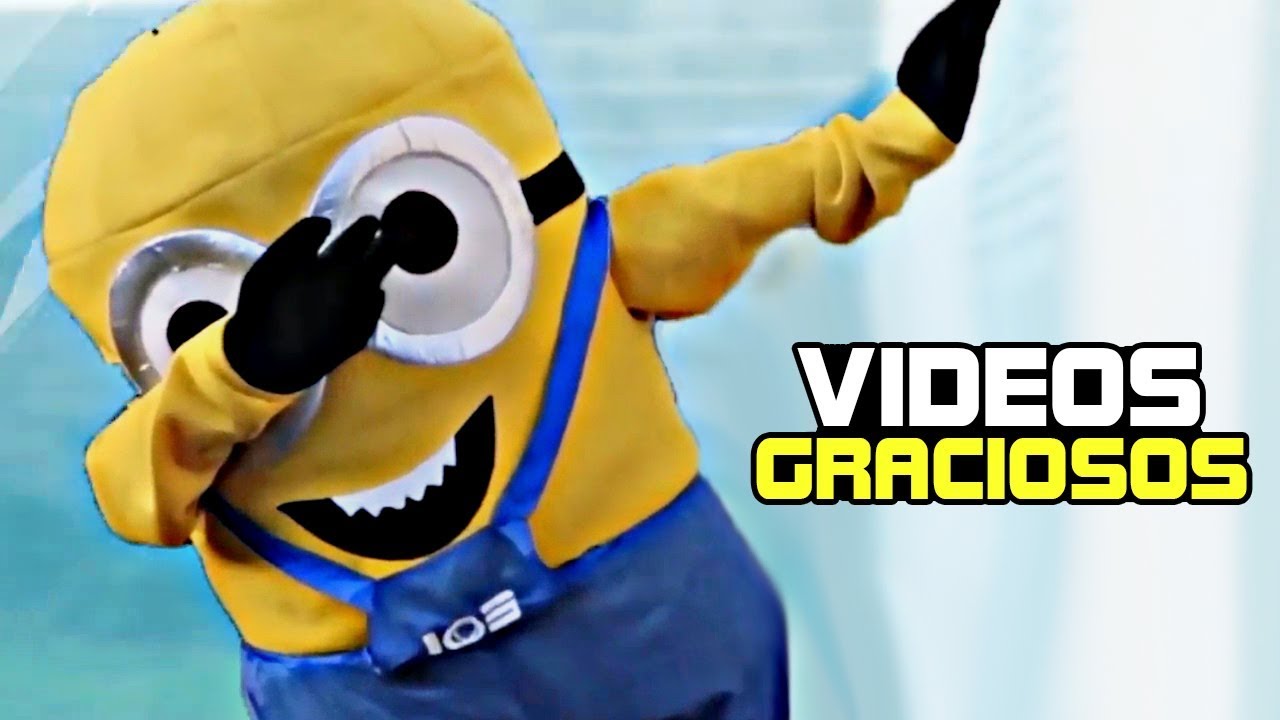 Videos Graciosos Y Divertidos 8 Robleisiutu Youtube