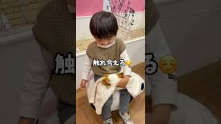 みなとみらい子連れ1dayプラン💕