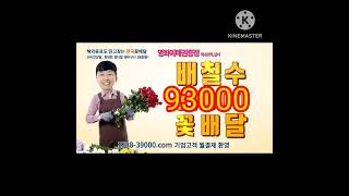 배칠수의 93000 꽃배달