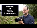 How I Improved MY Wildlife Photography in 2022 - Making Some Changes