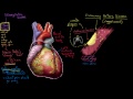 what is coronary artery disease circulatory system and disease nclex rn khan academy