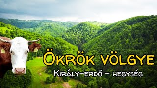 Ökrök-völgye | Király-erdő - hegység | Bologa | TÚRA