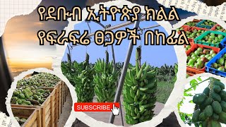 #የደቡብ ኢትዮጵያ ክልል የፍራፍሬ ፀጋዎች በከፊል #south_Communication #south_ethiopia