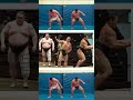 Sumo Wrestler Muscles Under Fat