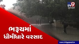 After short dry spell, light rain showers re-enter Bharuch | Tv9GujaratiNews