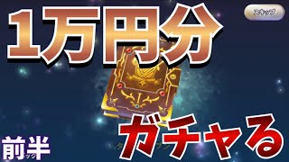 【DQR実況】1万円分パック開封してたらリセマラSSの最強カードGET！からの途中でメンテナンスがw【ドラゴンクエストライバルズ】