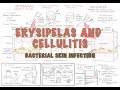 Bacterial Skin Infection - Cellulitis and Erysipelas (Clinical Presentation, Pathology, Treatment)