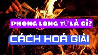 Phong long tử là gì? Cách hoá giải phong long tử - Vương Hiền Official