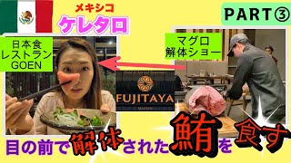 【FUJITAYA】③メキシコで日本食レストランに感激！マグロ解体ショー？！GOEN・ケレタロ3/4