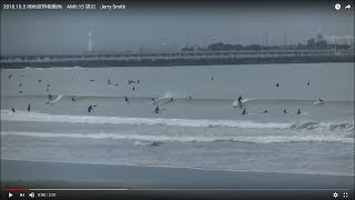 2018.10.5 湘南波情報動画　AM6:15 鵠沼　Jerry Smith